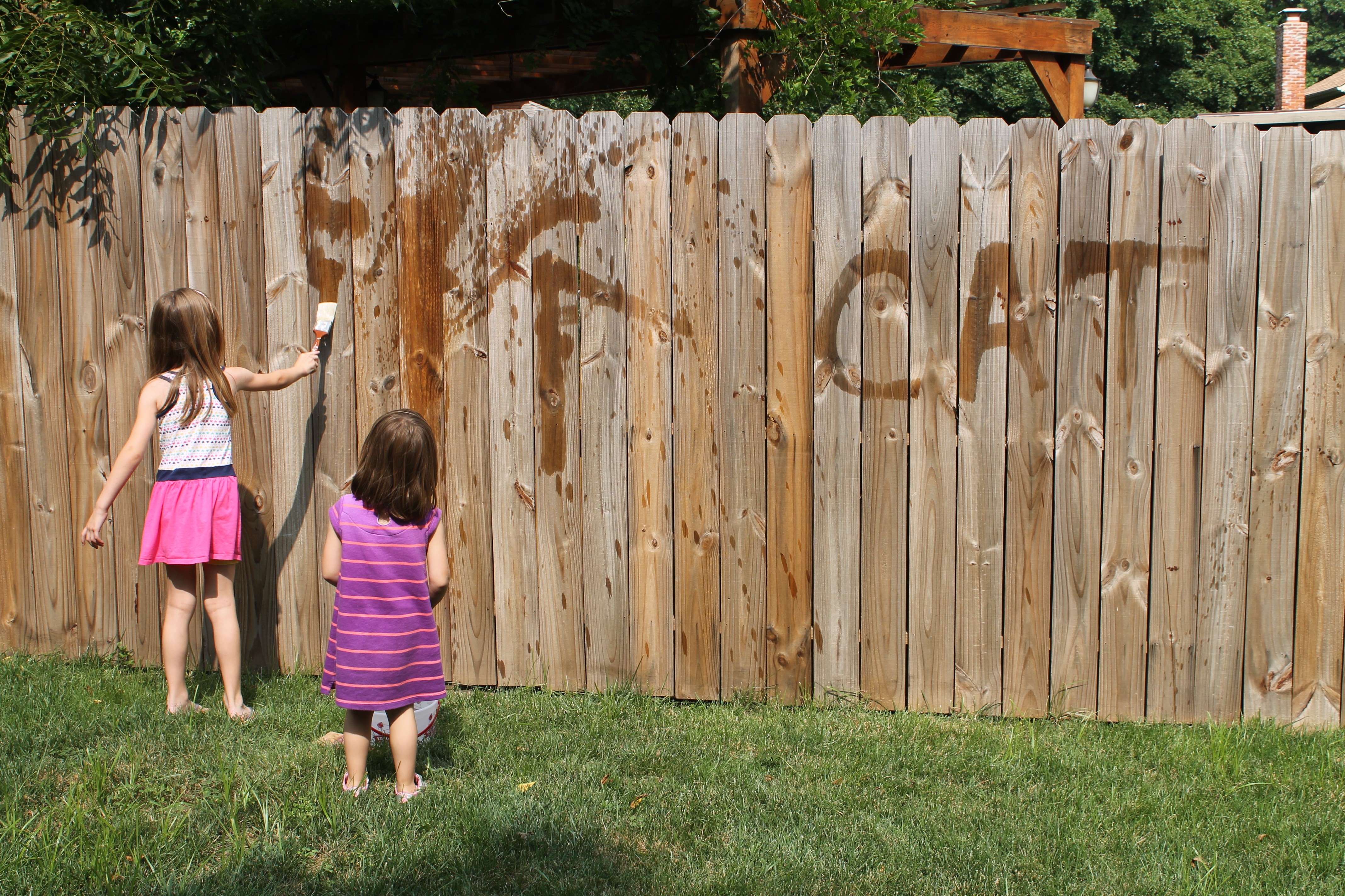 Image result for painting with water on fence